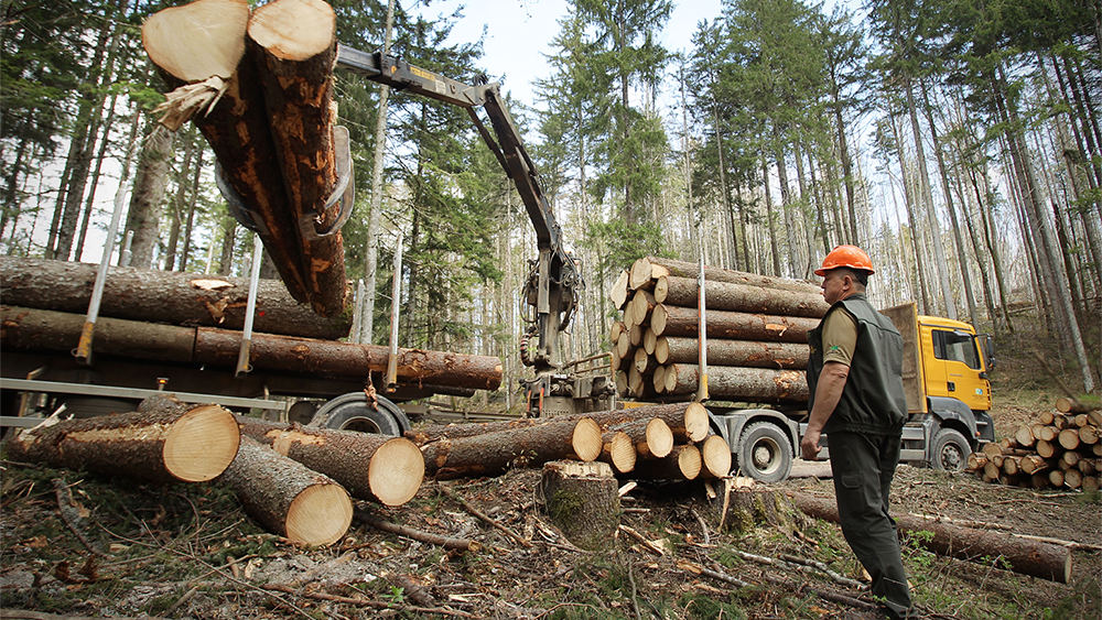 Screenshot+2022-05-25+at+08.21.34