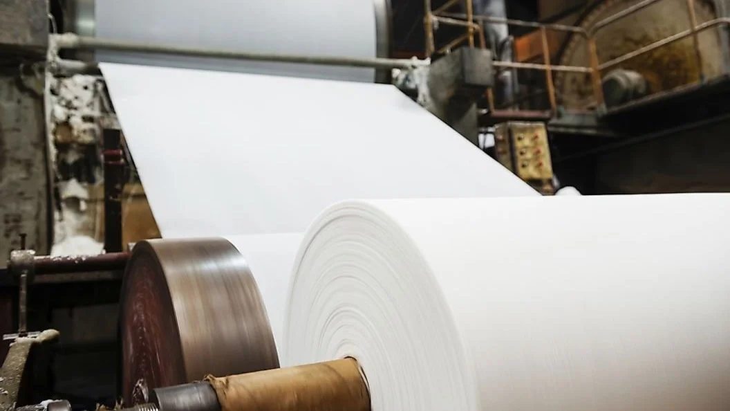 pulp-paper-production-trees